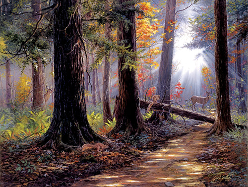 Peaceful Path, 500 piece puzzle by Sunsout