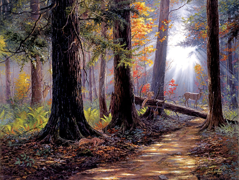 Peaceful Path, 500 piece puzzle by Sunsout
