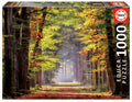 Fall Walkway, 1000 pcs by Educa