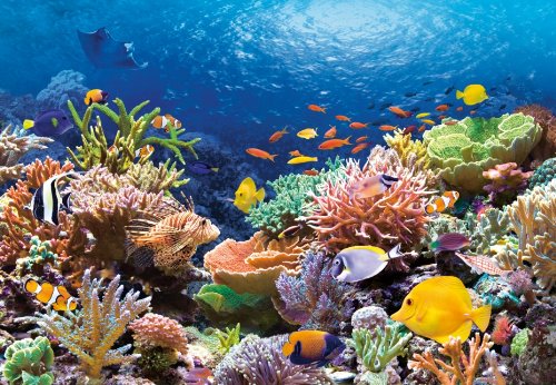 Coral Reef, 1000 Pc Jigsaw Puzzle by Castorland