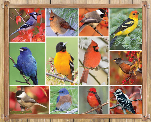 Songbirds, 100 Piece Puzzle, by Springbok Puzzles.
