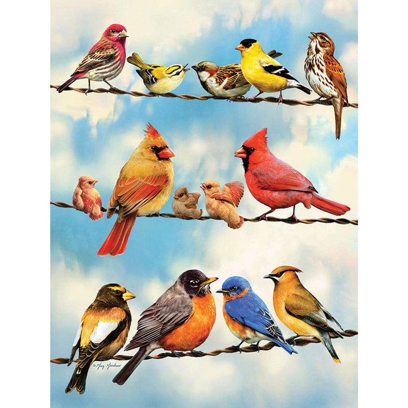 Birds on a Wire, 500 Pc Jigsaw Puzzle by Cobble Hill