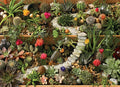 Succulent Garden, 1000 Pc Jigsaw Puzzle by Cobble Hill