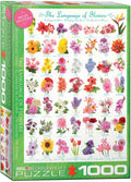 The Language of Flowers, 1000 piece puzzle by Eurographics