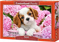 Pup in Pink Flowers, 500 Pc Jigsaw Puzzle by Castorland