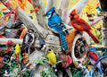 Backyard Birds, 1000 Piece Puzzle, by Master Pieces.