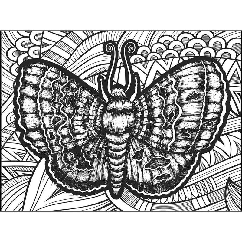 Butterfly 300 Coloring,  Jigsaw Puzzle by  Lafayette