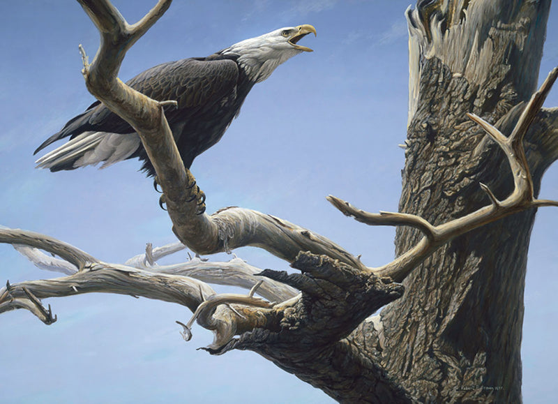 Call of the Wild, 500 Pc Jigsaw Puzzle by Cobble Hill