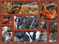 Farmyard Friends, 275  Pc Jigsaw Puzzle by Cobble Hill