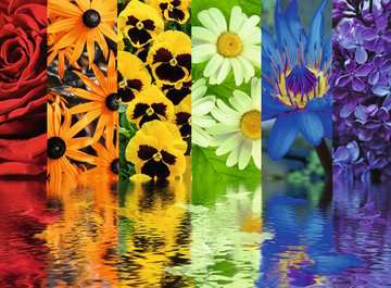 Floral Reflections, 500 piece puzzle by Ravensburger