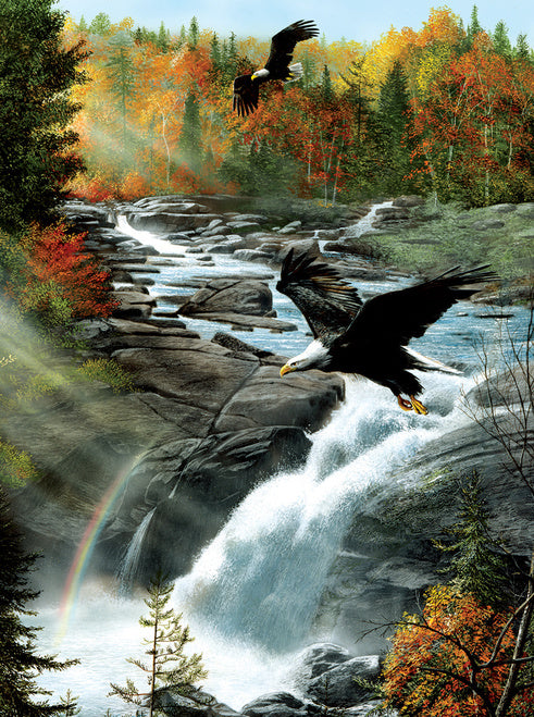 Gooseberry Falls - Eagles, 1000 piece puzzle by SunsOut