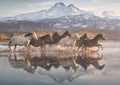 Horses in Cappadocia, 1000 piece puzzle by Schmidt
