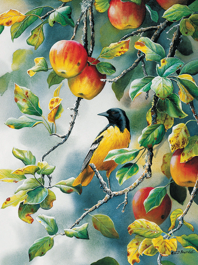 Northern Oriole, 1000 Pc Jigsaw Puzzle by Cobble Hill