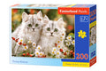 Persian Kittens, 200 piece premium puzzle by Castorland