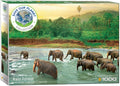 Rain Forest, 1000 piece puzzle by Eurographics