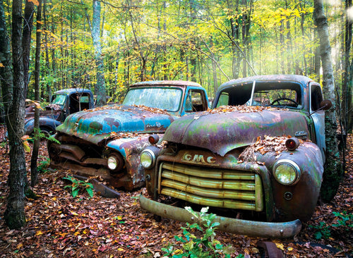 Remaining of the Past, 1000 Pc Jigsaw Puzzle by Anatolian