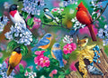 Songbird Collage, 1000 Piece Puzzle, by Master Pieces.