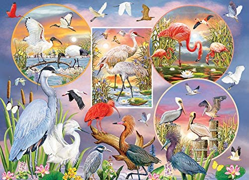 Waterbird Magic, 1000 Pc Jigsaw Puzzle by Cobble Hill
