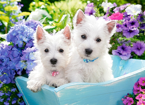 Westie Puppies, 200 Pc Jigsaw Puzzle by Castorland