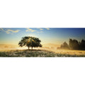 Play of Light, 1000 Pc Jigsaw Puzzle by Heye